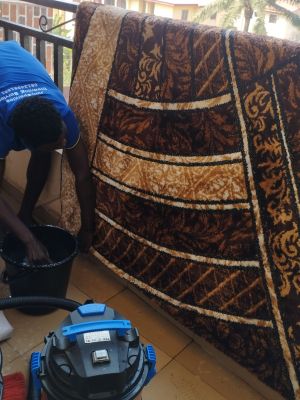 Professional Cleaning Services